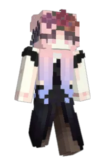 Vox1_ Minecraft avatar full body