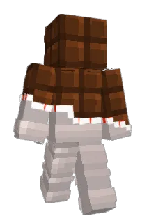 Voxlixir Minecraft avatar full body