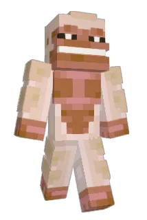 Vozin5422 Minecraft avatar full body