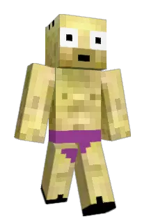 Vozorak Minecraft avatar full body