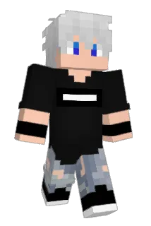 Vrachtraffel Minecraft avatar full body