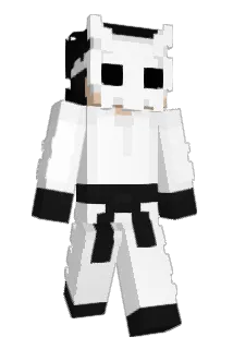 Vrilliant Minecraft avatar full body