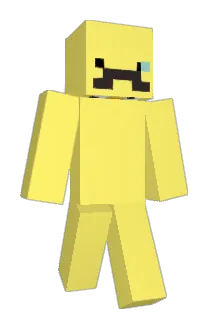 VsionR Minecraft avatar full body
