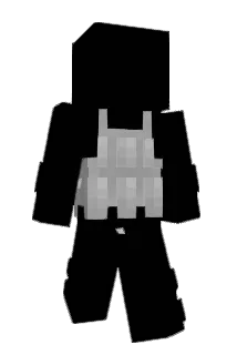 Vsjnvt Minecraft avatar full body