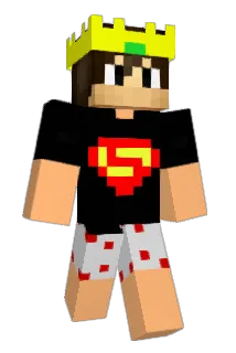 Vton_ Minecraft avatar full body