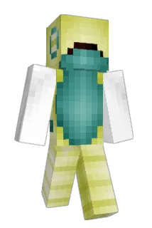 Vuietnam Minecraft avatar full body