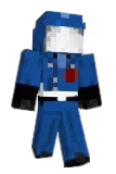 Vulpis Minecraft avatar full body