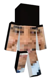Vuurkat Minecraft avatar full body