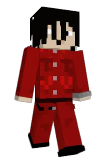 VvsdiamondZ Minecraft avatar full body