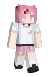 Vxnnp Minecraft avatar full body