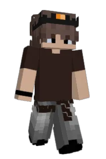 VyxenIX Minecraft avatar full body