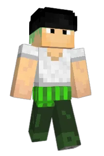 Vzsr Minecraft avatar full body