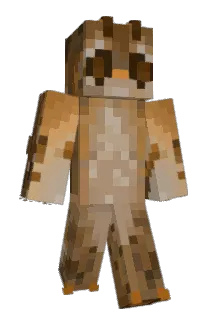 W00ZeLL Minecraft avatar full body
