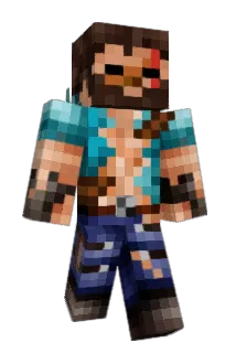 W1llli Minecraft avatar full body