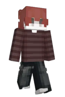 W1nqless Minecraft avatar full body