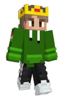 W1seAvocado Minecraft avatar full body