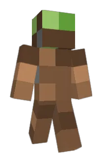 W41P013 Minecraft avatar full body