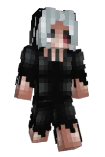 W5EN Minecraft avatar full body