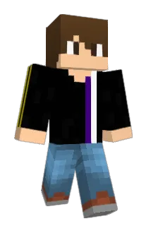 WA1946 Minecraft avatar full body
