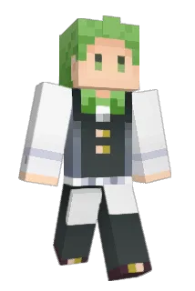 WAC81 Minecraft avatar full body