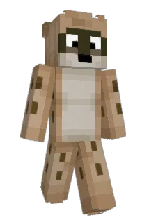 WAS10IM Minecraft avatar full body