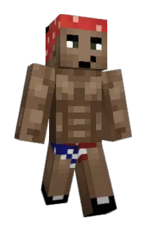 WASD06 Minecraft avatar full body