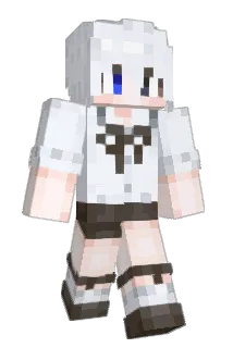 WB23 Minecraft avatar full body