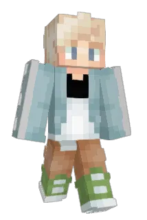 WDFlyer Minecraft avatar full body