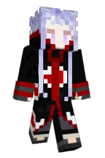 WDRSBJS Minecraft avatar full body