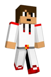WEBITART Minecraft avatar full body