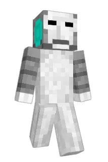 WELLMAX100 Minecraft avatar full body