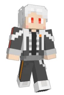 WEN2334 Minecraft avatar full body