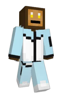 WFHD Minecraft avatar full body