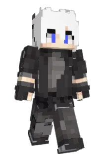 WFJD Minecraft avatar full body