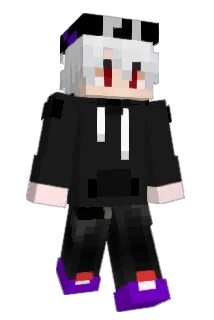 WFxRayZ Minecraft avatar full body