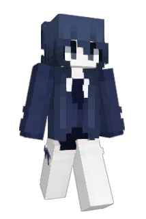 WGNT_2012 Minecraft avatar full body