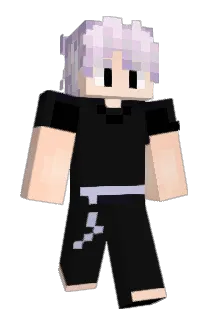 WGymLife Minecraft avatar full body