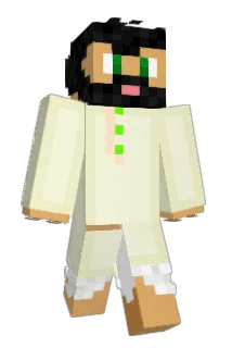 WHO_IS_NAIN Minecraft avatar full body