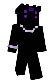 WINDEX101 Minecraft avatar full body