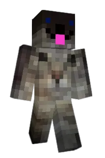 WITEK100 Minecraft avatar full body