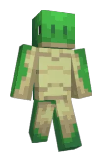 WIZDAM Minecraft avatar full body