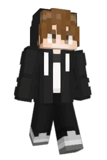 WI_LK Minecraft avatar full body