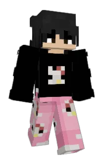 WInsr Minecraft avatar full body