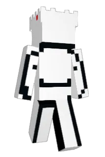 WJY30 Minecraft avatar full body
