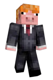 WLDNZ Minecraft avatar full body