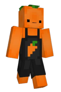 WN200012 Minecraft avatar full body