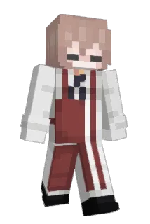 WNDERFVL Minecraft avatar full body