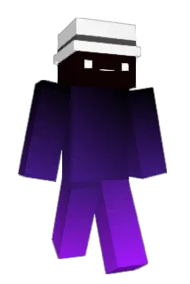 WN_FLM Minecraft avatar full body