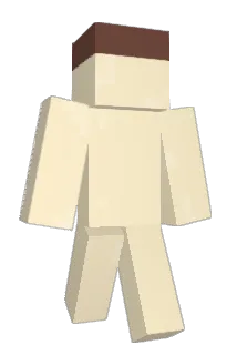WOOJINKKMM Minecraft avatar full body