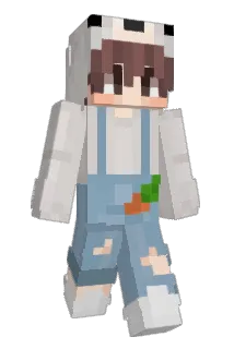 WOO_DAL Minecraft avatar full body